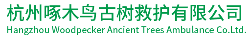 ������ľ�B�Ř���o���޹�˾